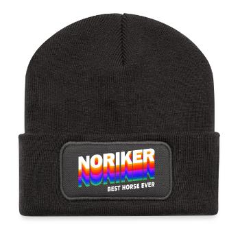 Noriker Horses Design / Gift Idea - Recycled Patch Beanie - dark grey - Front