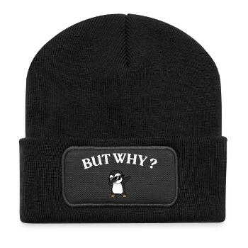 But Why? Pinguin Stil - Recycelte Patch Beanie - Schwarz - Vorne