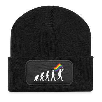 Pride Month LGBTQ - Evolution of Prideq - Recycled Patch Beanie - black - Front