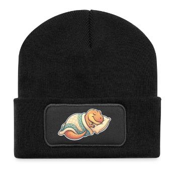 Sleeping Dinosaur - Recycled Patch Beanie - black - Front