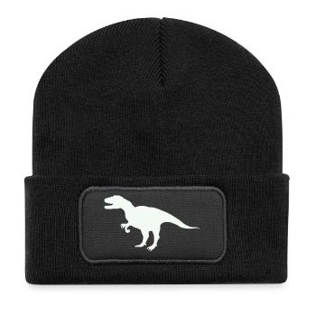 T-Rex Silhouette im Retro-Look - Recycelte Patch Beanie - Schwarz - Vorne