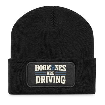 Perimenopause Humor Perimenopause - Recycled Patch Beanie - black - Front