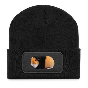 Guinea pig - Recycled Patch Beanie - black - Front