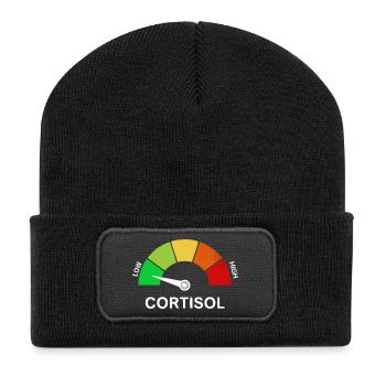 Low Cortisol Scale - Recycled Patch Beanie - black - Front