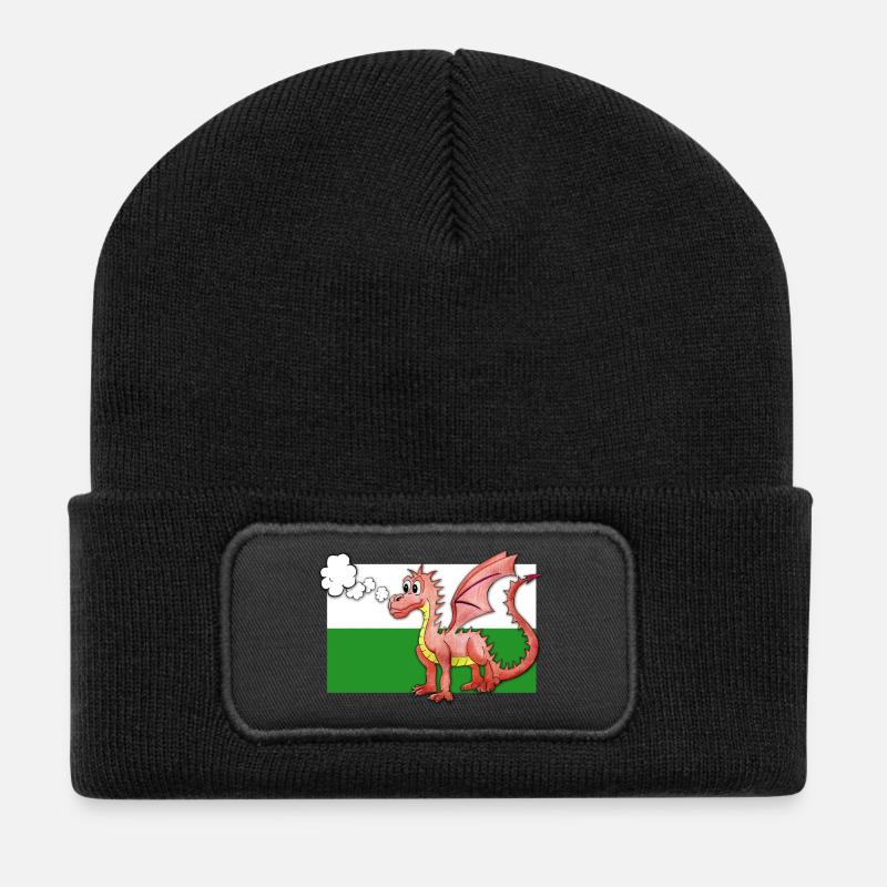 Puffing Welsh Dragon - Gregory - Recycled Patch Beanie - black