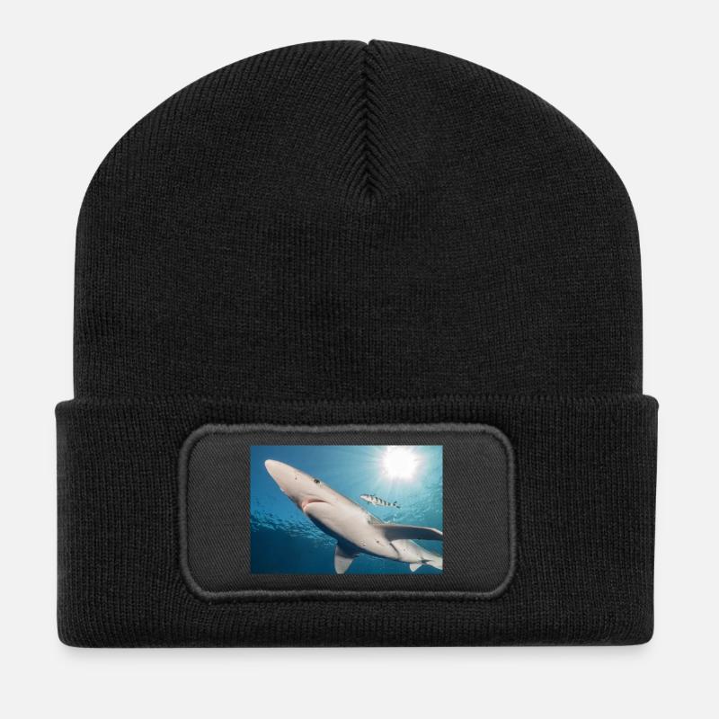 Azores Shark - Recycled Patch Beanie - black
