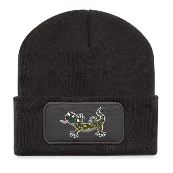 Lizard Climber - Recycled Patch Beanie - dark grey - Front
