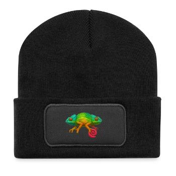 Regenbogen Chamäleon Lolli - Recycelte Patch Beanie - Schwarz - Vorne
