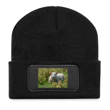 Schaf liegend im Gras - Poster - Recycelte Patch Beanie - Schwarz - Vorne