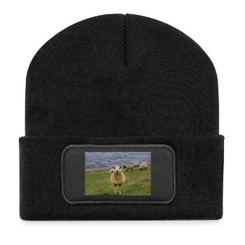 Sheep on the dike on the coast - Recycled Patch Beanie - black - Front