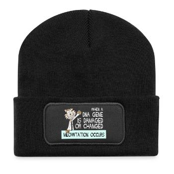 Chemistry Chemist Chemistry Teacher Funny Science - Recycled Patch Beanie - black - Front
