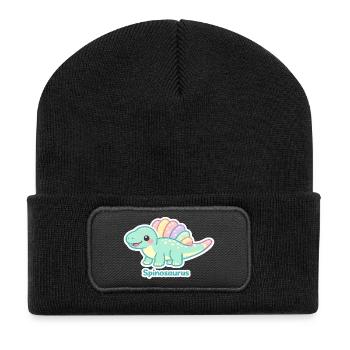 Pastel Spinosaurus Sticker - Recycled Patch Beanie - black - Front