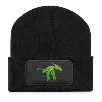 Flying Dinosaur - Recycled Patch Beanie - black - Front