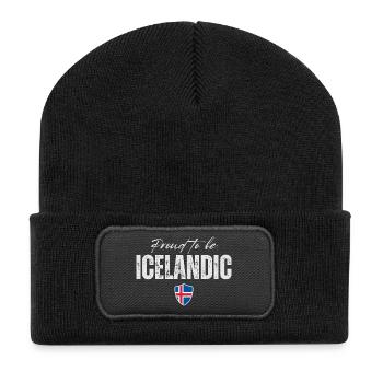Icelandic Pride, Iceland Flag - Recycled Patch Beanie - black - Front