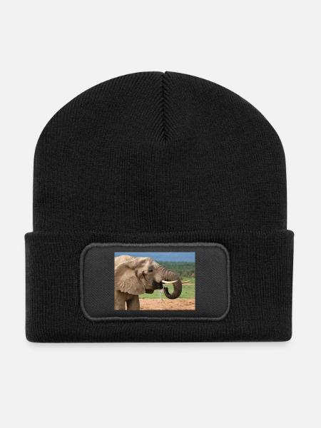 Elefant trinkt - Recycelte Patch Beanie - Schwarz