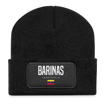 Barinas Venezuela - Recycled Patch Beanie - black - Front