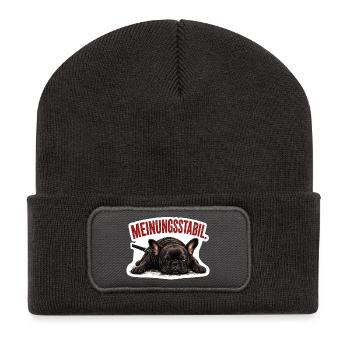 Frenchie – Meinungsstabil Bully - Recycelte Patch Beanie - Dunkelgrau - Vorne