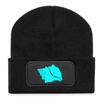 Turquoise Blue Shell Row - Recycled Patch Beanie - black - Front