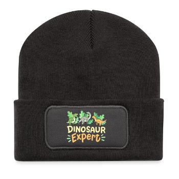 Dinosaurierliebhaber Dinosaurierexperte - Recycelte Patch Beanie - Dunkelgrau - Vorne