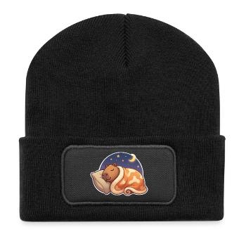 Capybara Schlafen - Recycelte Patch Beanie - Schwarz - Vorne