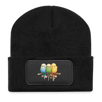 Funny budgies - Recycled Patch Beanie - black - Front