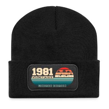 44. Geburtstag 1981 Vintage 1981 Retro Sunset - Recycelte Patch Beanie - Schwarz - Vorne