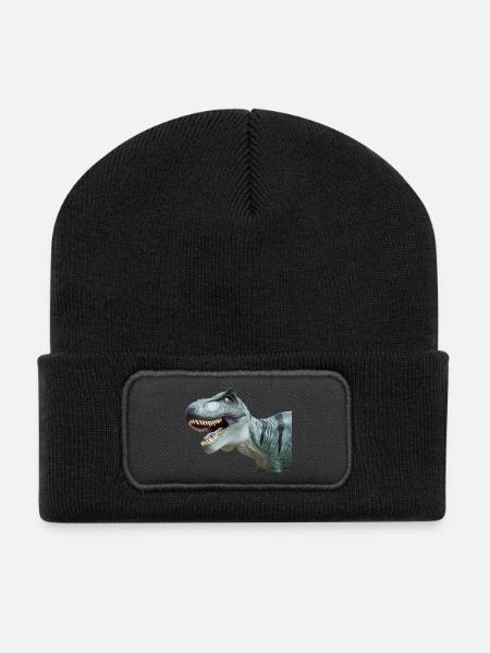T-Rex - Recycelte Patch Beanie - Schwarz