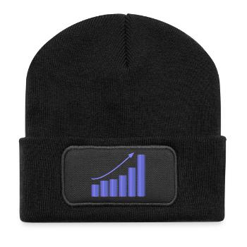 Growth chart with dynamic slope - Recycled Patch Beanie - black - Front