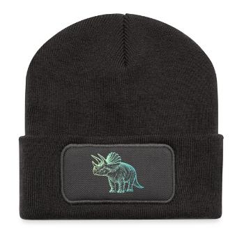 Dessin de dinosaure triceratops dégradé bleu vert - Beanie recyclé à patch - charbon - Devant