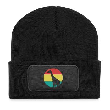Giraffe in a colored circle - Recycled Patch Beanie - black - Front