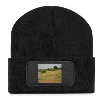 Deer in the steppe grass - Recycled Patch Beanie - black - Front