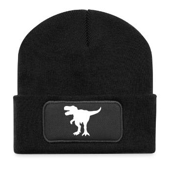 Dinosaurier Geschenk - Recycelte Patch Beanie - Schwarz - Vorne