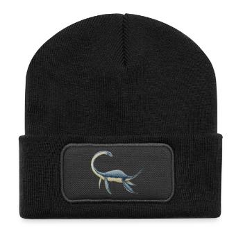Dinosaur Plesiosaurus - Recycled Patch Beanie - black - Front