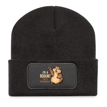 I'm A Rodent Not A Meteorologist Rodent Animal - Recycelte Patch Beanie - Dunkelgrau - Vorne