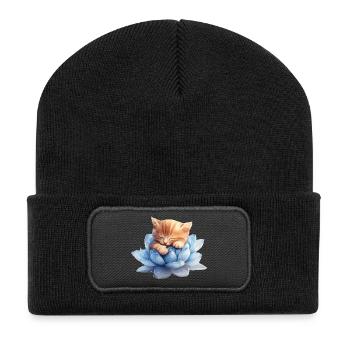 Kätzchen ruht auf blauen Sukkulenten - Recycelte Patch Beanie - Schwarz - Vorne