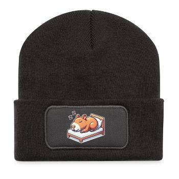 Schlafender Capybara - Recycelte Patch Beanie - Dunkelgrau - Vorne