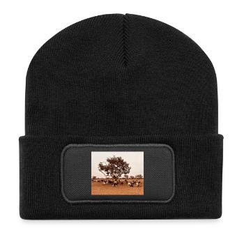 Goats under a tree in the savannah - Recycled Patch Beanie - black - Front