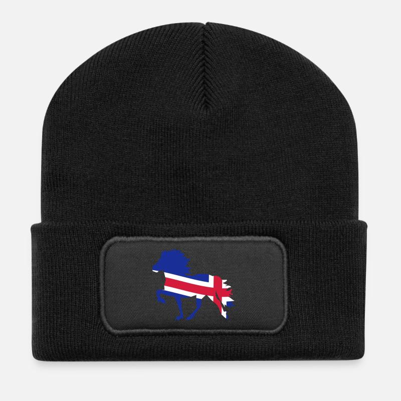Islandpferd Flagge - Recycelte Patch Beanie - Schwarz