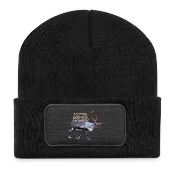 Lapponia - Recycelte Patch Beanie - Schwarz - Vorne