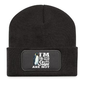 Wait for me, I've got little legs - Recycled Patch Beanie - dark grey - Front