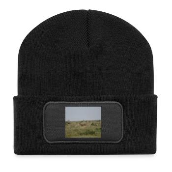 Lion dans la savane au crépuscule - Beanie recyclé à patch - noir - Devant