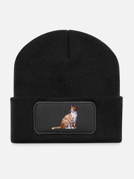 Katze Katzen Katze Cat Cats - Recycelte Patch Beanie - Schwarz