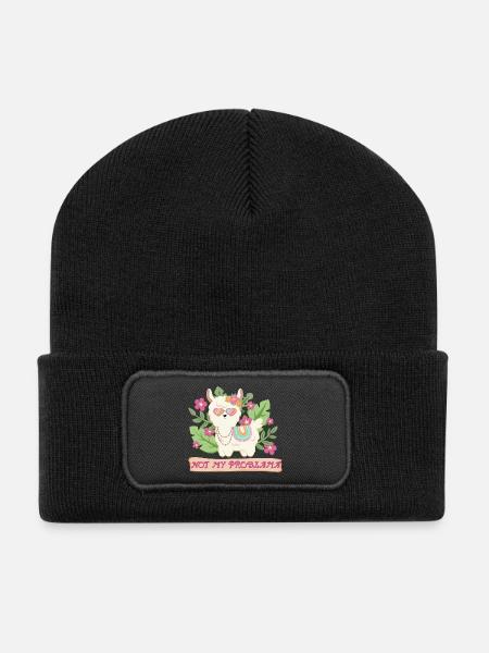 Sommer Lama Alpaka - Not my problem - Recycelte Patch Beanie - Schwarz