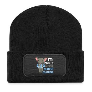 Rat, house rat, rat owner, rat lover - Recycled Patch Beanie - black - Front