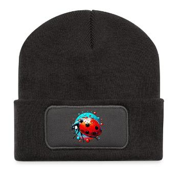 Ladybug - Recycled Patch Beanie - dark grey - Front