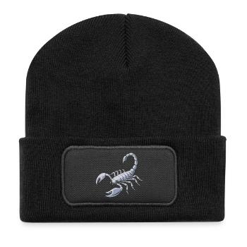 Fierce Scorpion - Recycled Patch Beanie - black - Front