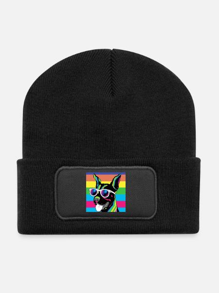 Lunettes arc-en-ciel psychédéliques pour chiots - Beanie recyclé à patch - noir