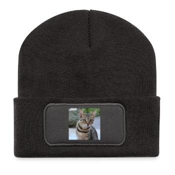 Katze Kätzchen Poster quadratisch Katzenposter - Recycelte Patch Beanie - Dunkelgrau - Vorne