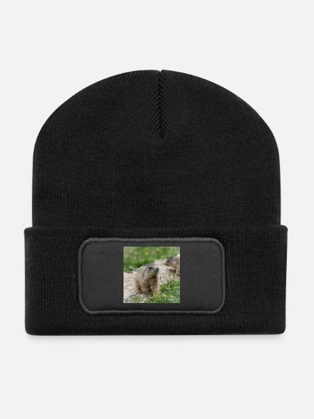 Murmeltier neugierig 4 - Alpenmotiv ganz nah - Recycelte Patch Beanie - Schwarz