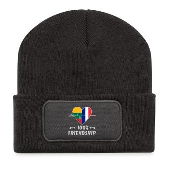 Lithuania and France 100% friendship - Recycled Patch Beanie - dark grey - Front
